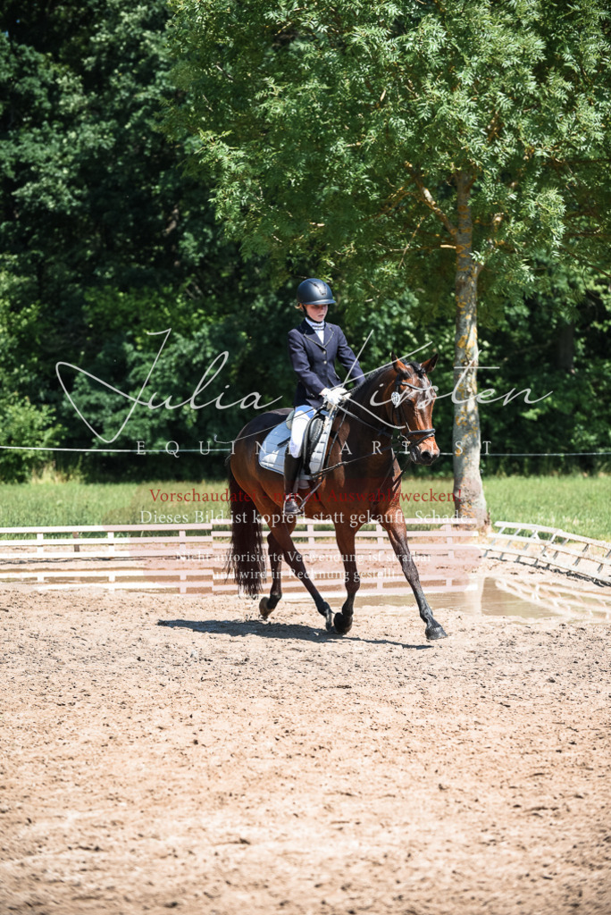 DSC_3325 | Pferde- und Turnierfotografie in Westsachsen. Pferdeportraits, Auftragszeichnungen und intuitive Kunst.