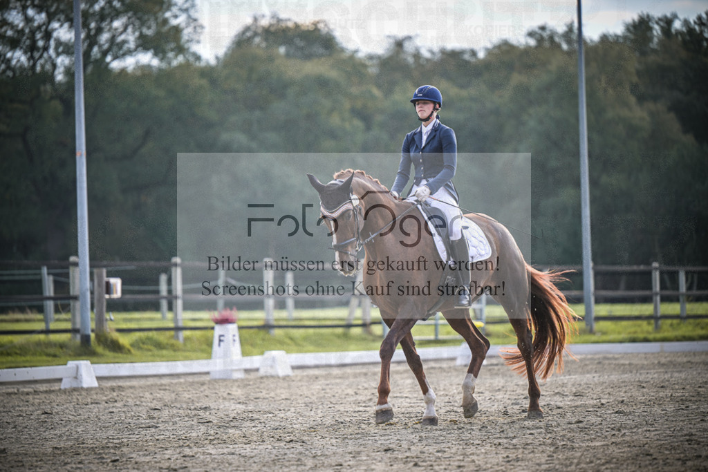 DOS_3101 | Entdecke hochwertige Reitturnierfotos von Foto Oger. Professionell, emotional und authentisch – jetzt Lieblingsmomente im Shop bestellen.Deutschlandweite Turnierfotografie. - Realisiert mit Pictrs.com