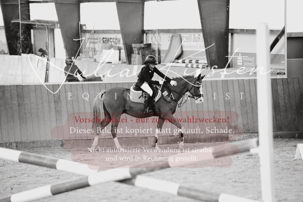 DSC_7463 | Pferde- und Turnierfotografie in Westsachsen. Pferdeportraits, Auftragszeichnungen und intuitive Kunst.