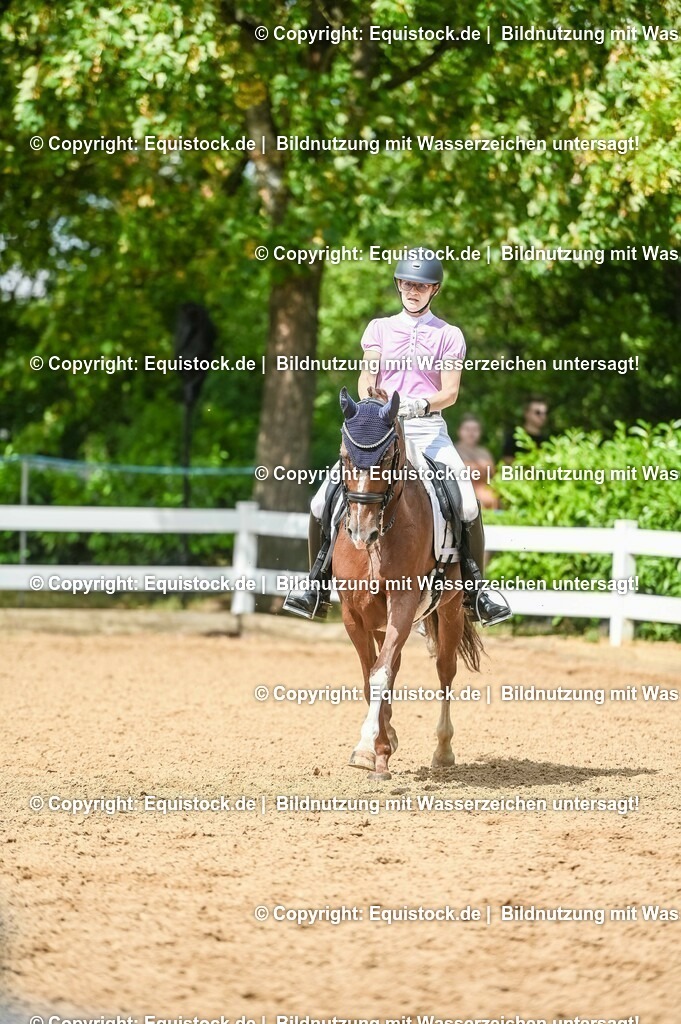 20230716_01_Dressurprüfung Kl.M_0383 | equistock