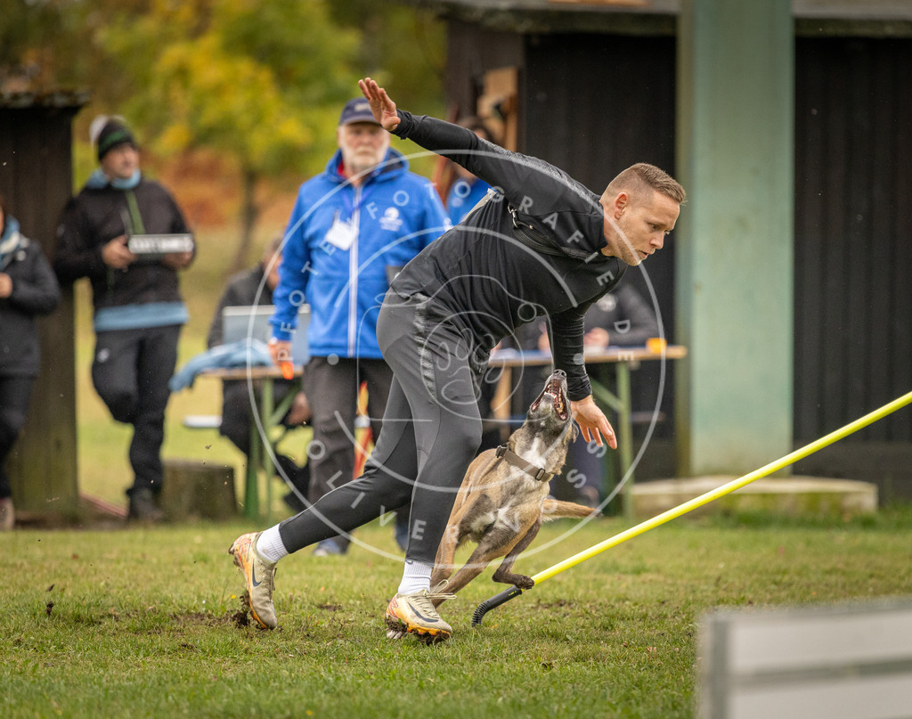Pfotenfotografie_DV3A6923 | Hundefotografie, Tierfotograf, Pfotenfotografie, Fotoshooting Hund, Hunde Portrait, Hundesport, Hundeportraits, Heideshooting, Hunde, Sportfotograf, Hundefotograf, Turnierhundsport, THS,  - Realisiert mit Pictrs.com