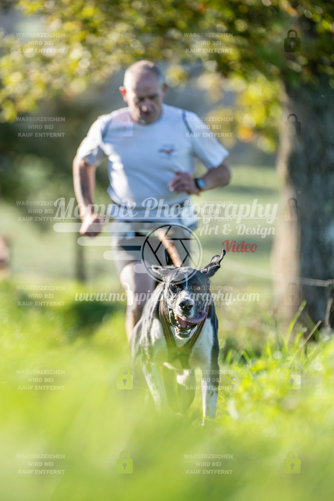 MompixPhotography_20TSB_E3_Run-2 | PayLife