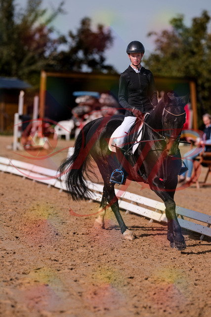 2026_10_03_Siefer-Hof_115802_Z81_99792121 | Professionelle Reitsport-, Turnier- und Eventfotografie von Robert Broda. Galerien mit ausgewählten und bearbeiteten Bildern direkt online ansehen und bestellen.