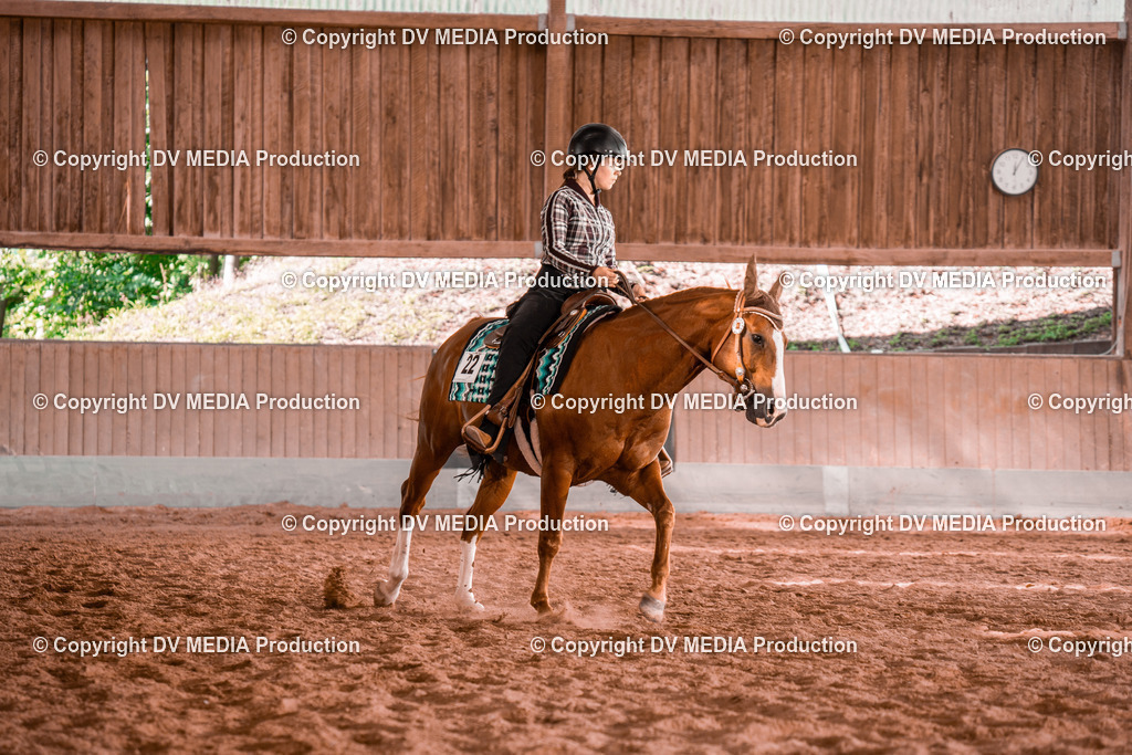 NE200250 | dv-media-shop - Realisiert mit Pictrs.com