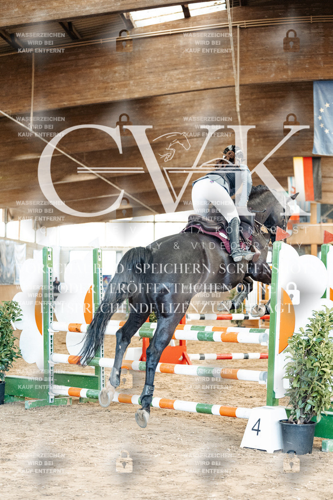 CK904913 | Turnierfotografie Pferdefotografie Trier Rheinland-Pfalz Pferdesport Reitsport Tierfotografie Sportfotografie Pferdevideo Pferdevideografie Equestrianvideography equestrianphotography  - Realisiert mit Pictrs.com