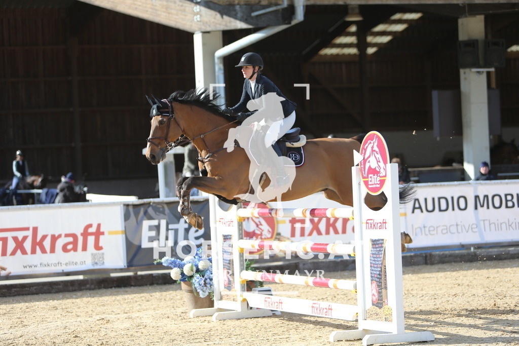 DL2Q0988 | Willkommen bei Brunnmayr - Design & Fotografie – Ihrem Spezialisten für Reitturniere und Pferdeveranstaltungen in Oberösterreich, Salzburg und Bayern! Seit über 17 Jahren sind wir leidenschaftlich dabei.