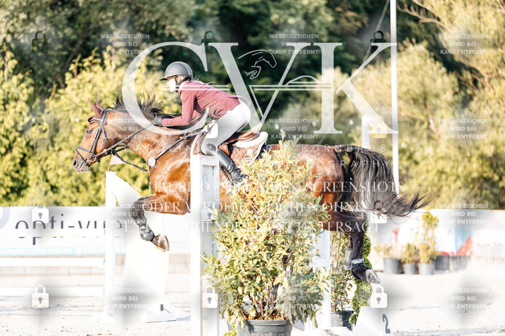 CK903548 | Turnierfotografie Pferdefotografie Trier Rheinland-Pfalz Pferdesport Reitsport Tierfotografie Sportfotografie Pferdevideo Pferdevideografie Equestrianvideography equestrianphotography  - Realisiert mit Pictrs.com