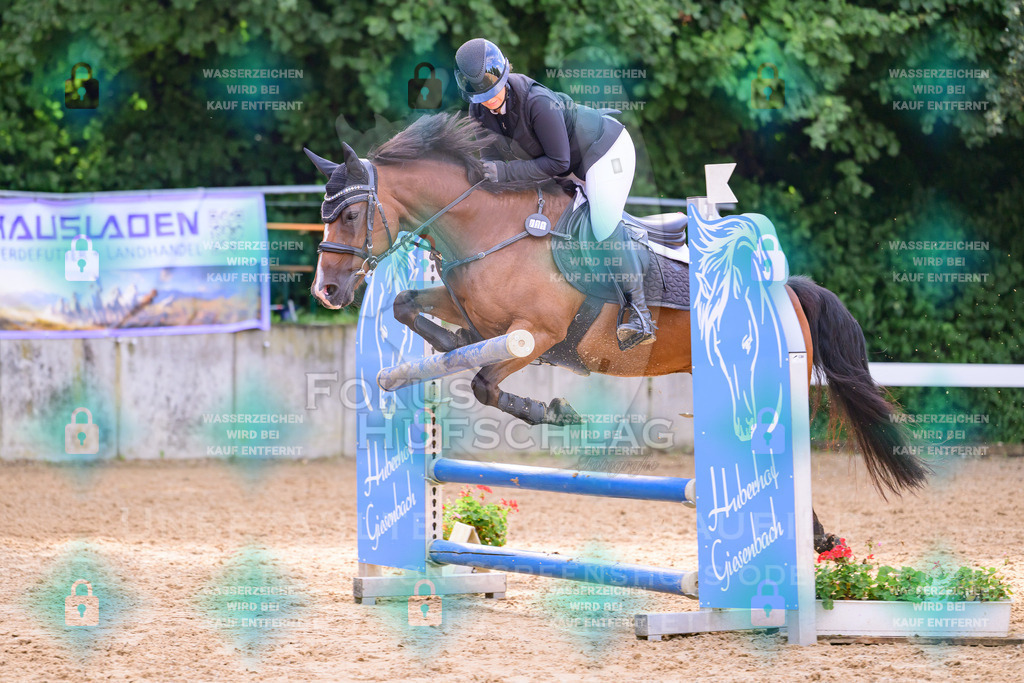 30082026-Giesenbach-Prfg16-0614 | Fokus Hufschlag Fotografie - Realisiert mit Pictrs.com