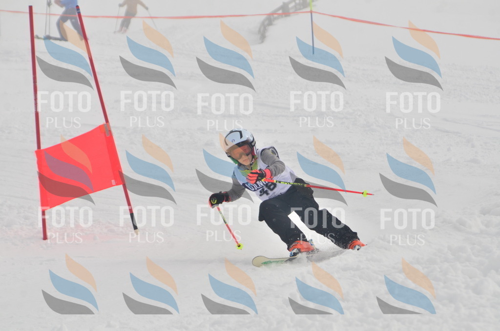 A5364 | holidayphoto