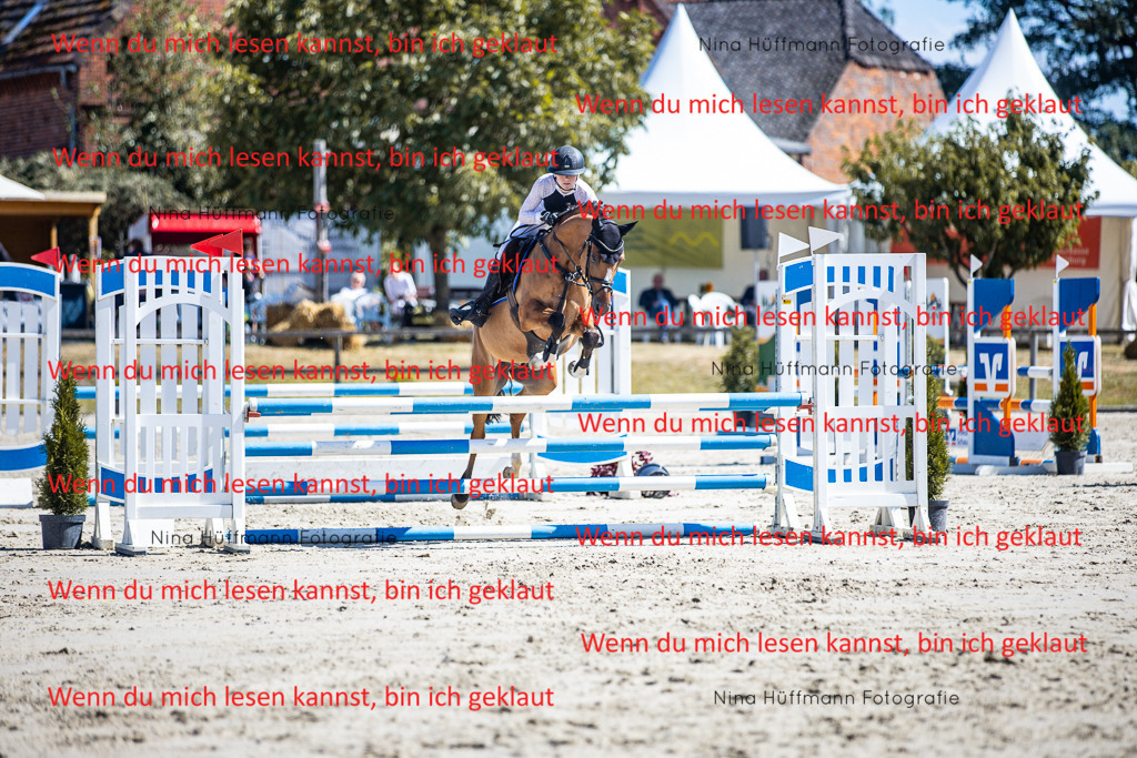 BK1A5431 | Turnierbilder Turnierfotos Nina Hüffmann Turnierfotografie Pferdefotografie Tierzeichnung Haustierzeichnung Pferdezeichnung Hundezeichnung Videograf  - Realisiert mit Pictrs.com