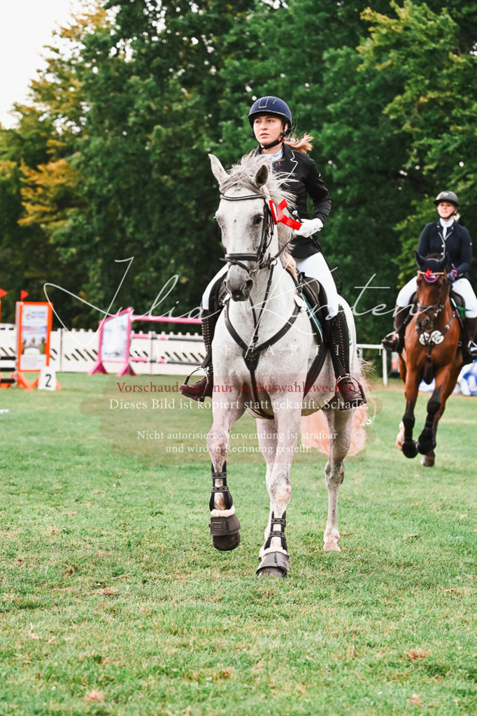 DSC_6712 | Pferde- und Turnierfotografie in Westsachsen. Pferdeportraits, Auftragszeichnungen und intuitive Kunst.