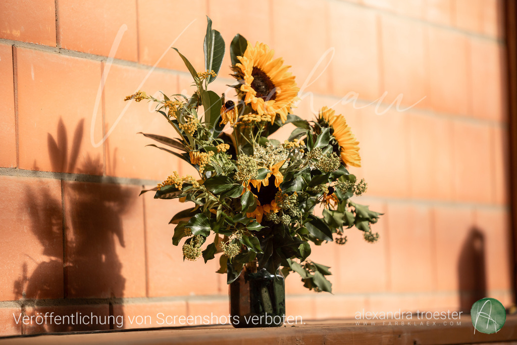 250914_Barop_14_159 | farbklaex.com