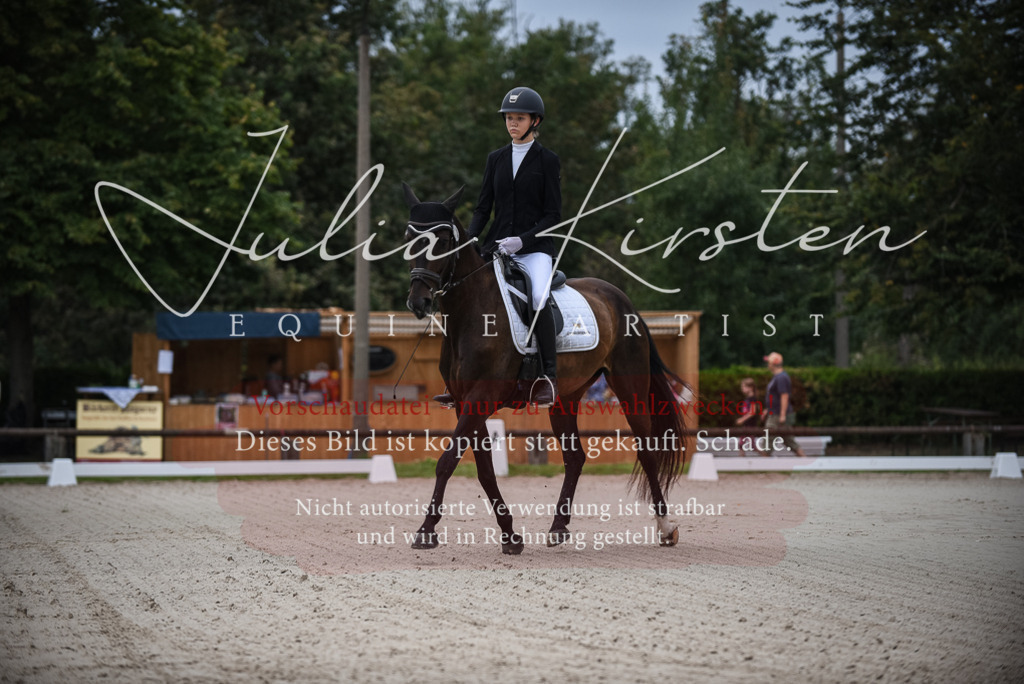 DSC_7914 | Pferde- und Turnierfotografie in Westsachsen. Pferdeportraits, Auftragszeichnungen und intuitive Kunst.