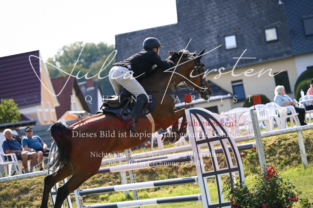 DSC_1514 | Pferde- und Turnierfotografie in Westsachsen. Pferdeportraits, Auftragszeichnungen und intuitive Kunst.