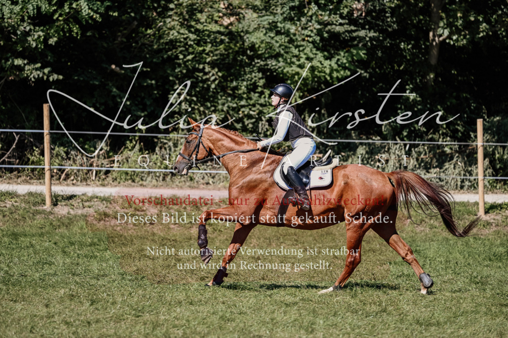 DSC_2682 | Pferde- und Turnierfotografie in Westsachsen. Pferdeportraits, Auftragszeichnungen und intuitive Kunst.