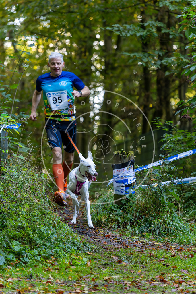 Pfotenfotografie_DV3A7792 | Hundefotografie, Tierfotograf, Pfotenfotografie, Fotoshooting Hund, Hunde Portrait, Hundesport, Hundeportraits, Heideshooting, Hunde, Sportfotograf, Hundefotograf, Turnierhundsport, THS,  - Realisiert mit Pictrs.com