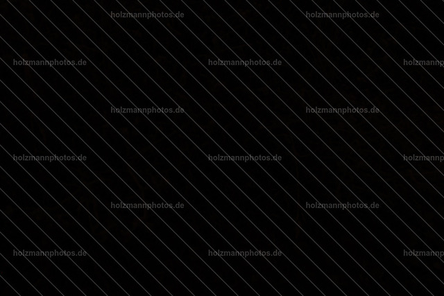 IMG_8766 | Fotograf Leipzig für Hochzeiten, Familienfeste & Porträts. Persönlich, ehrlich & echt – Emotion im Fokus. Jetzt Fotoshooting bei Holzmannphotos buchen!