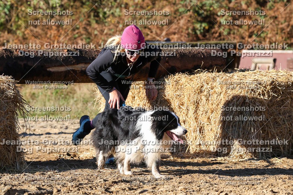 Dog Paparazzi - Strongdog 10-25-1757 | Dog Paparazzi Jeanette Grottendiek Fotografie & Videografie - Realisiert mit Pictrs.com