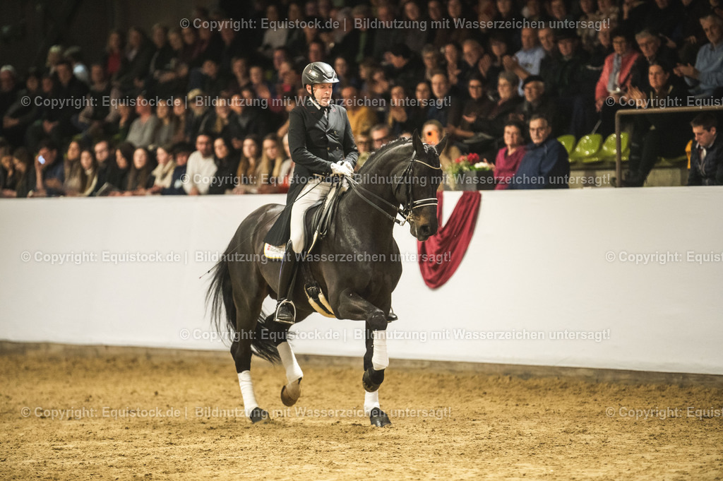 20240302_Hengstvorstellung_Marbach_TOMsPiC_1505-2 | equistock