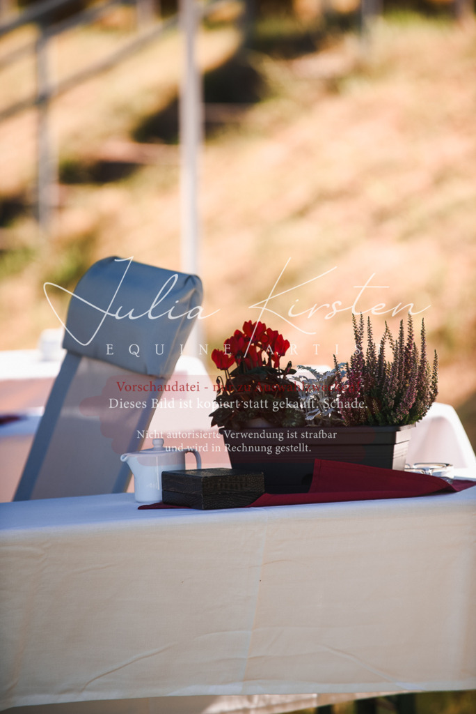DSC_2658 | Pferde- und Turnierfotografie in Westsachsen. Pferdeportraits, Auftragszeichnungen und intuitive Kunst.
