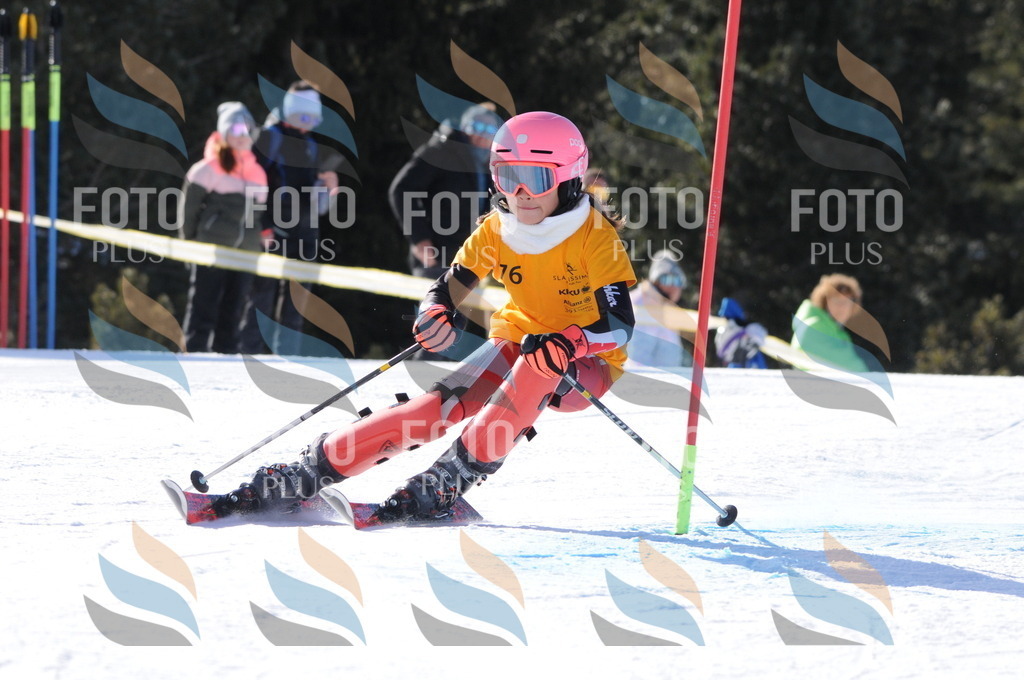 C6975 | holidayphoto