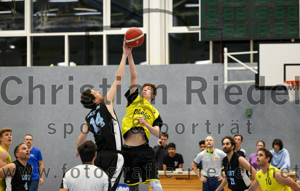 2022-12-04_009_SG_Poing_gegen_TSV_Muenchen_Ost_4 | Poing, Deutschland, 04.12.2022:
Basketball, Bezirksklasse 2021 / 2022, 8. Spieltag, SG Poing gegen TSV München Ost 4, Endergebnis: 37:65

Foto: Christian Riedel / fotografie-riedel.net