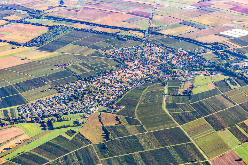 Ortschaft von Südwesten | Luftbild: Ortschaft von Südwesten in Insheim im Bundesland Rheinland-Pfalz in Deutschland. Foto: IMG_143509.jpg vom 29.09.2024 durch ©2025 Werner Riehm fly-foto.de/copyright - Realisiert mit Pictrs.com