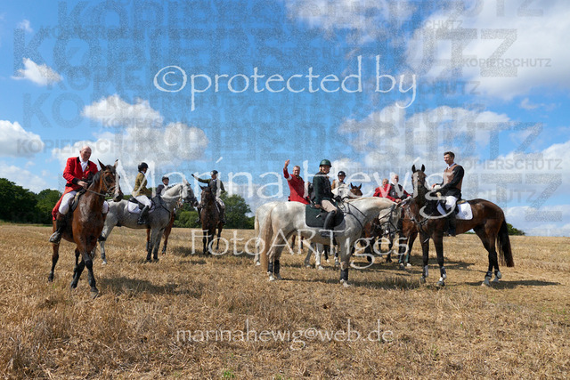 DSC01470_Marina Hewig | Fotografie, FotoArt, PferdesportArt, Pferdesportfotografie, Landschaftsfotografie, Reisefotografie, Reise, Pferde - Realisiert mit Pictrs.com