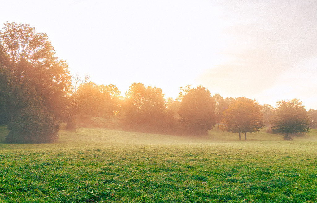 Ein malerischer herbstlicher Oktobermorgen im warmen Morgenlicht am Max-Eyth-See in Stuttgart | Das ausgewählte Bild zeigt eine idyllische, neblige Landschaft im warmen Morgenlicht am Max-Eyth-See in Stuttgart, bei der die tiefstehende Sonne direkt durch die herbstlichen Bäume bricht.Das Foto fängt die typische Stimmung eines goldenen Oktobermorgens mit feuchtem Bodennebel und beginnender Laubfärbung perfekt ein. - Realisiert mit Pictrs.com
