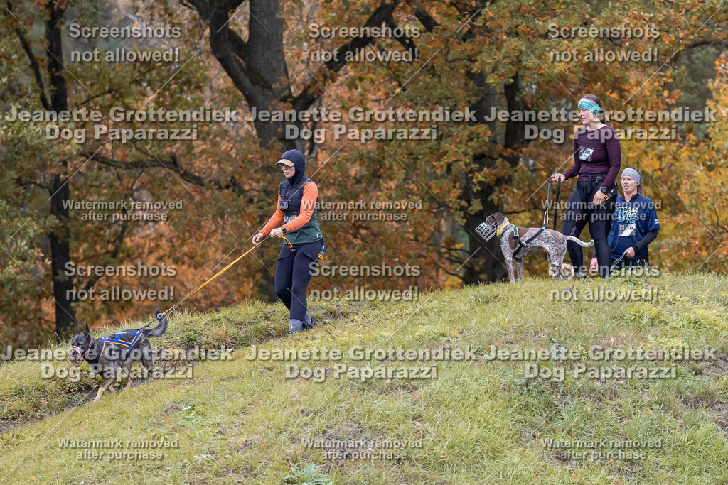 Dog Paparazzi - SD CaniX Championship 2025-829 | Dog Paparazzi Jeanette Grottendiek Fotografie & Videografie