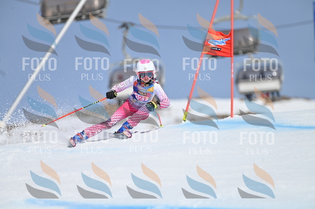 BGV_9819 | holidayphoto