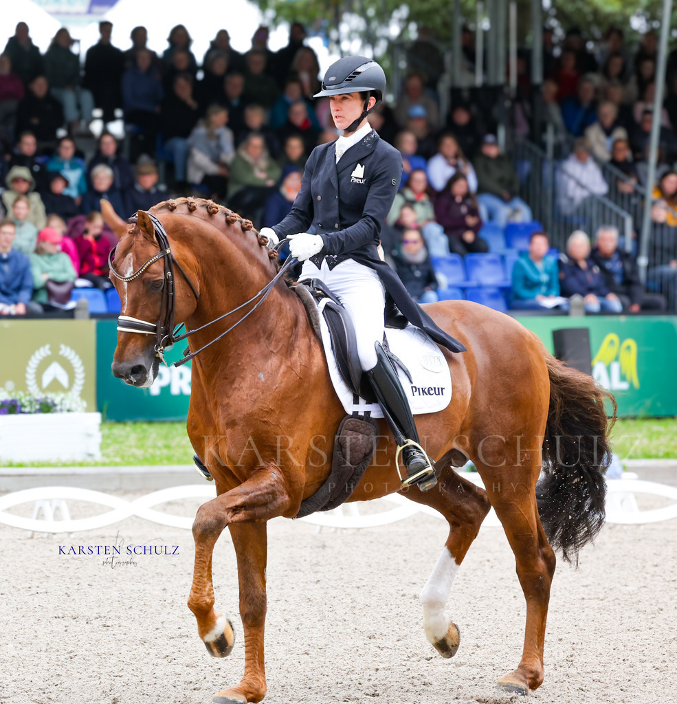 1B3A7686 | Reitsport Reiten