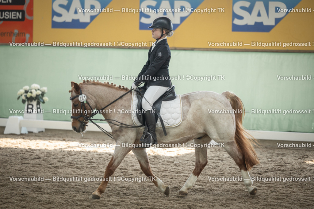 _D5A5592 | Emotionale Pferde- & People-Fotografie rund um Heidelberg, Leimen & Umgebung. Natürliche Fotos von Pferd, Mensch & Familie. Jetzt Termin sichern!