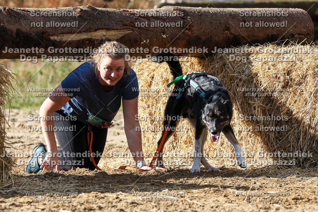 Dog Paparazzi - Strongdog 10-25-4910 | Dog Paparazzi Jeanette Grottendiek Fotografie & Videografie - Realisiert mit Pictrs.com