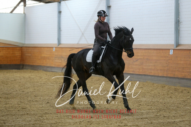 IMG_3739 | Turniersportfotografie; Pferdefotografie; Dressurfotografie