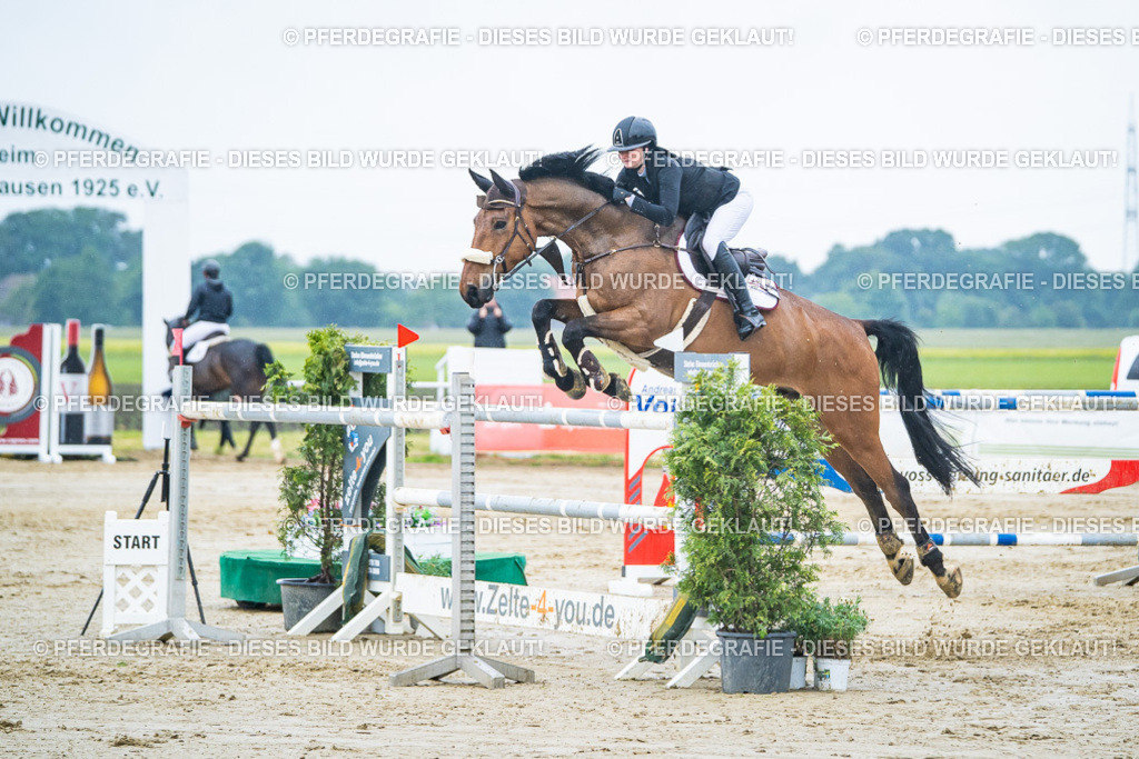 DSC00148 | Pferdegrafie