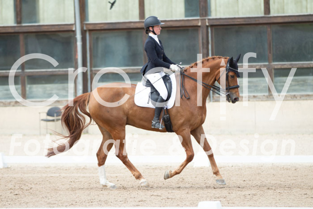 IMG_6117 | Creatify Fotografie