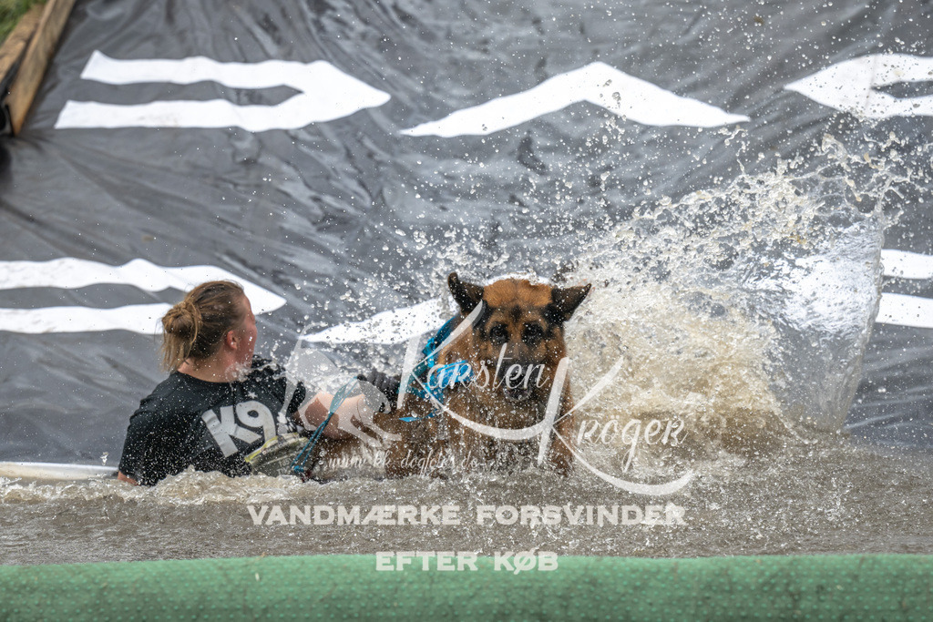 1346_ZZ93213 | kk-dogfotos
