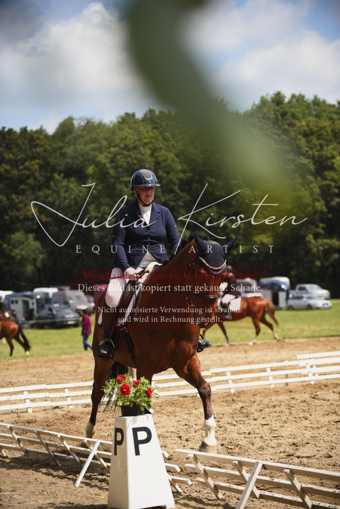 DSC_0847 | Pferde- und Turnierfotografie in Westsachsen. Pferdeportraits, Auftragszeichnungen und intuitive Kunst.