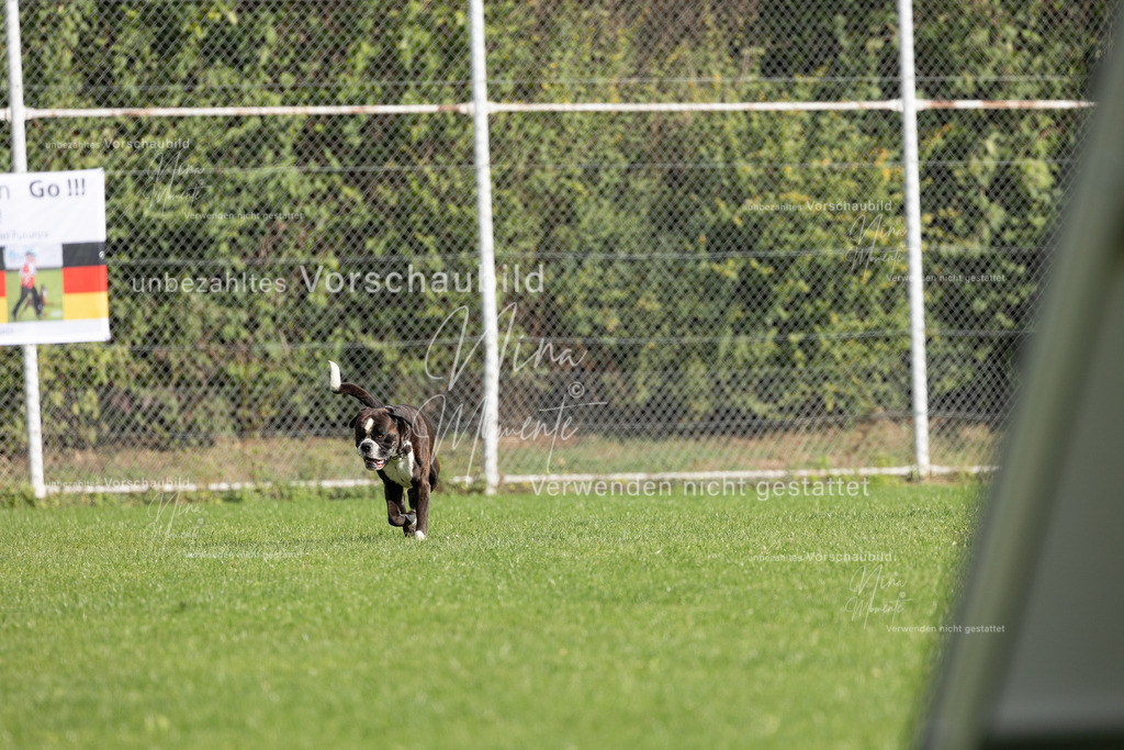 _16A6708 | Einzigartige Fotos von Hunden & Menschen –Actionfotos, Portraits, Vereinsaufnahmen & Paarshootings – authentisch, lebendig & mit Herz.
