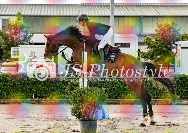 20250829_Springpferdeprfg Kl.L 115cm-9 | JS-Photostyle - Sport-/Portrait- & Eventfotografie