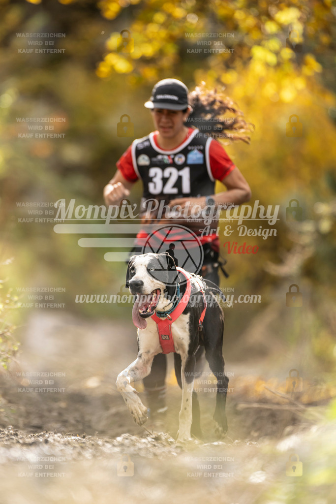 MompixPhotography_ICF_WC_2024_SA_Run_-219 | PayLife