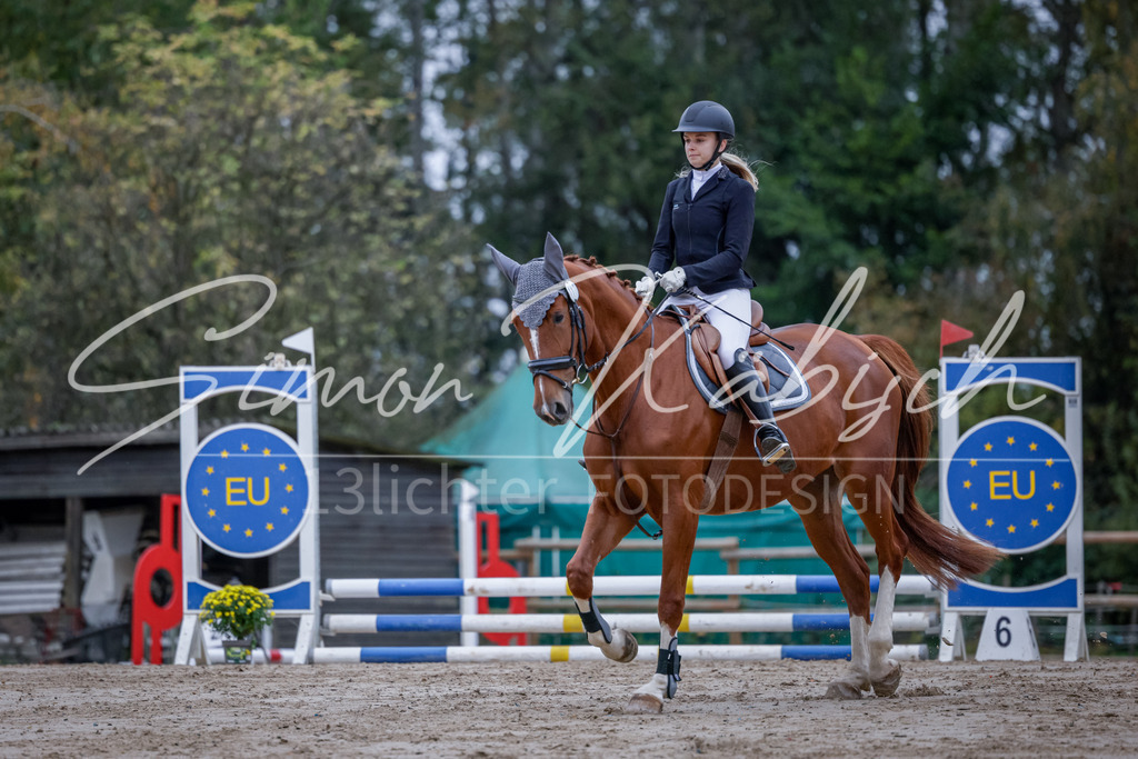 20251012-_3LI2606 | Tierfotografie Pferde, Hunde, Katzen, Haustiere.
Turnierfotografie Reitturniere, Reiten, Springreiten, Dressur in Hanau, dem Main-Kinzig-Kreis und dem Rhein-Main- Gebiet um Frankfurt