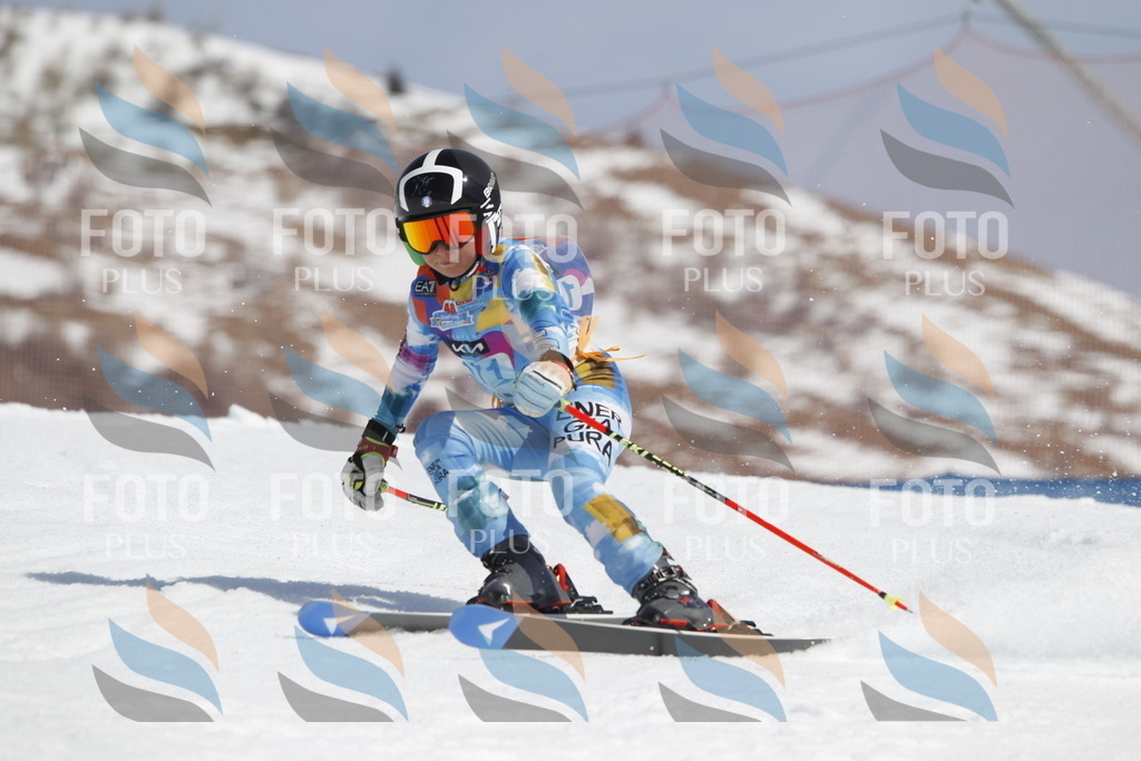 _U3G1563 | holidayphoto