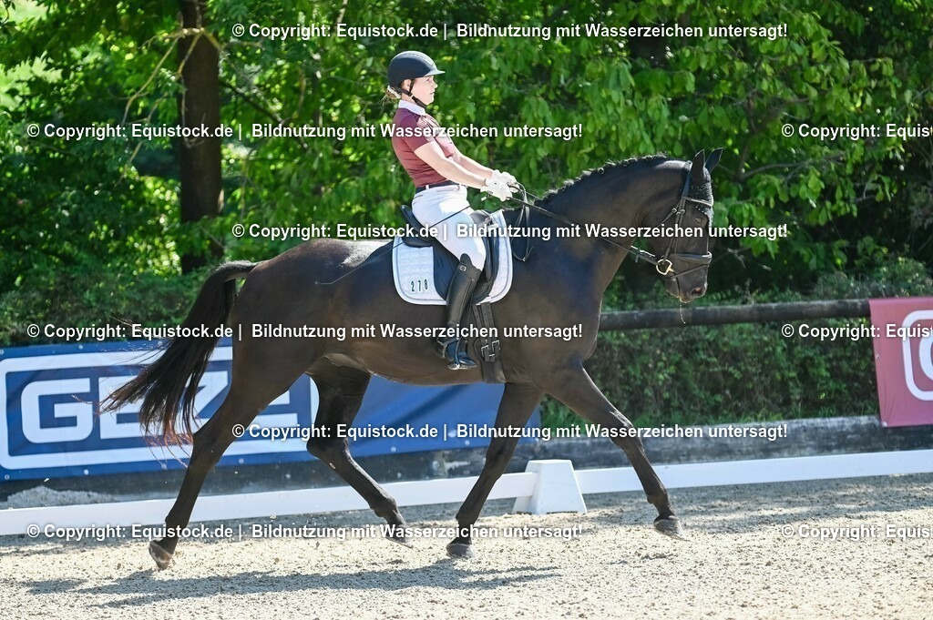 20230908_06_Dressur-L-Trense_0754 | equistock