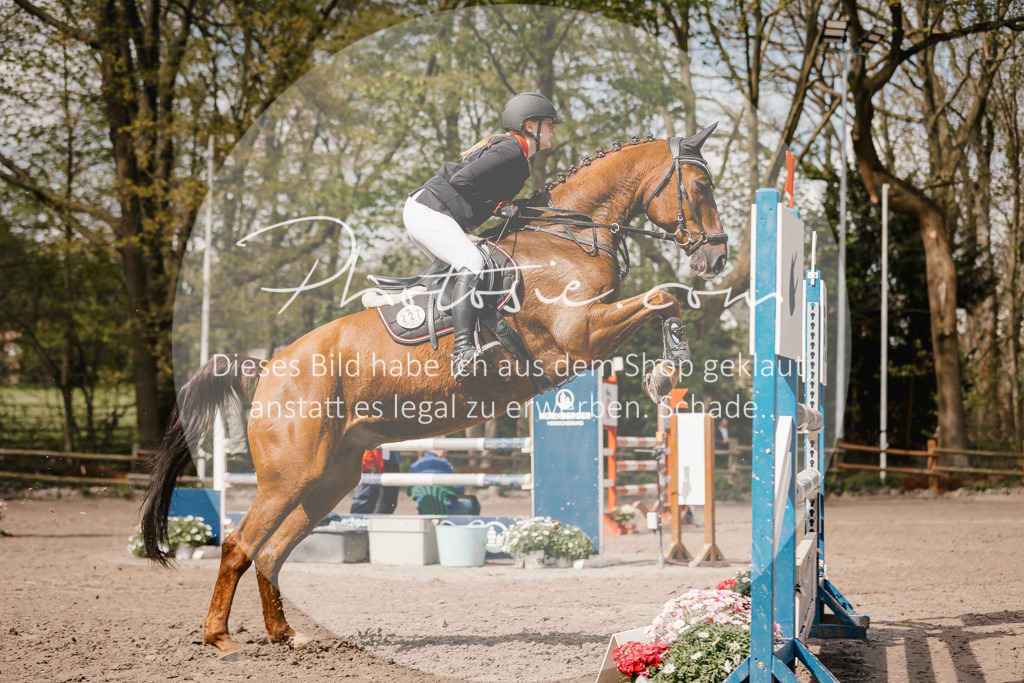 3I6A4196 | Stimmungsvolle Portraits und Reitsportfotografie im Ruhrgebiet und im Münsterland.

Pferdefotografie, Hundefotografie, Tierfotografie, Reportagen, Portraits von Tier und Mensch, Turnierfotografie in Bochum, Recklinghausen, Marl, Haltern am See, Dülmen.. - Realisiert mit Pictrs.com