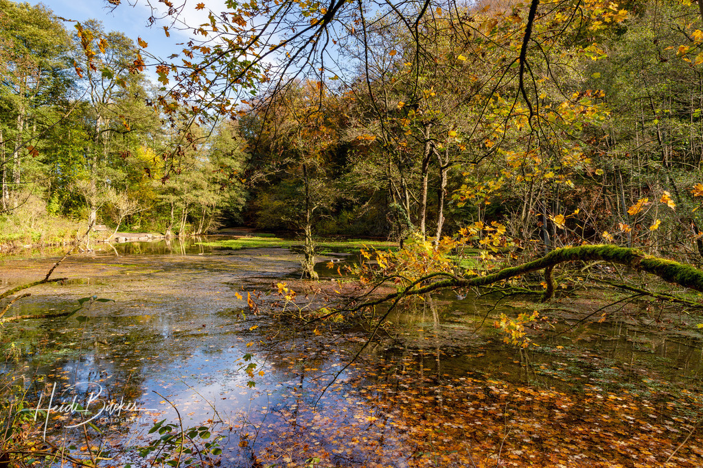 Almequellen bei Brilon | Almequellen bei Brilon - Realisiert mit Pictrs.com