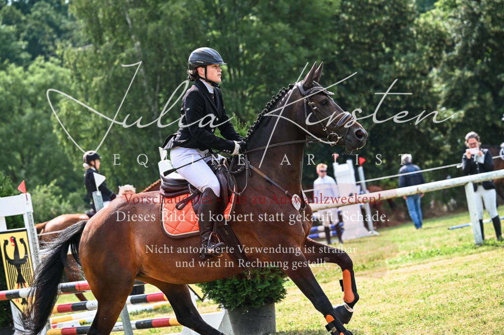 DSC_8288 | Pferde- und Turnierfotografie in Westsachsen. Pferdeportraits, Auftragszeichnungen und intuitive Kunst.