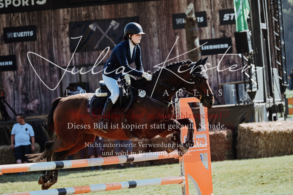 DSC_5876 | Pferde- und Turnierfotografie in Westsachsen. Pferdeportraits, Auftragszeichnungen und intuitive Kunst.