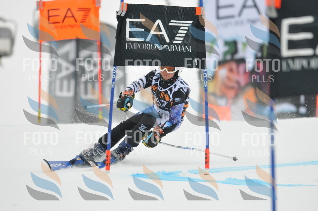 DSC_7346 | holidayphoto